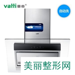 2019抽油烟机排行_2019吸油烟机十大品牌排行榜,吸油烟机哪个牌子好