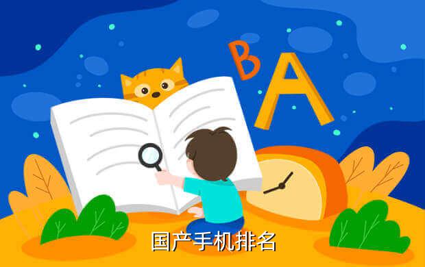 国产智能机排名小米2，国产手机，第一名竟然是它？