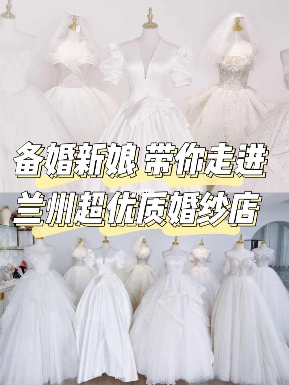 深圳市康王保健产 品有限公司_保健品品牌排行榜_保健运动品