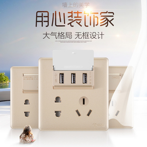 插座品牌排行榜_国际插座品牌排行_2013胡润品牌榜民营企业榜