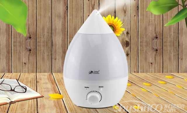 泳装品牌排行 泳装品牌排行_加湿器品牌排行榜_加湿器排行