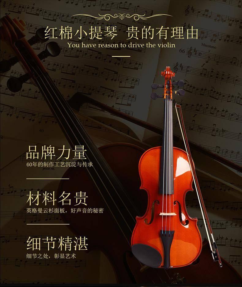 电提琴品牌_会中提琴的会小提琴吗_小提琴品牌排行榜