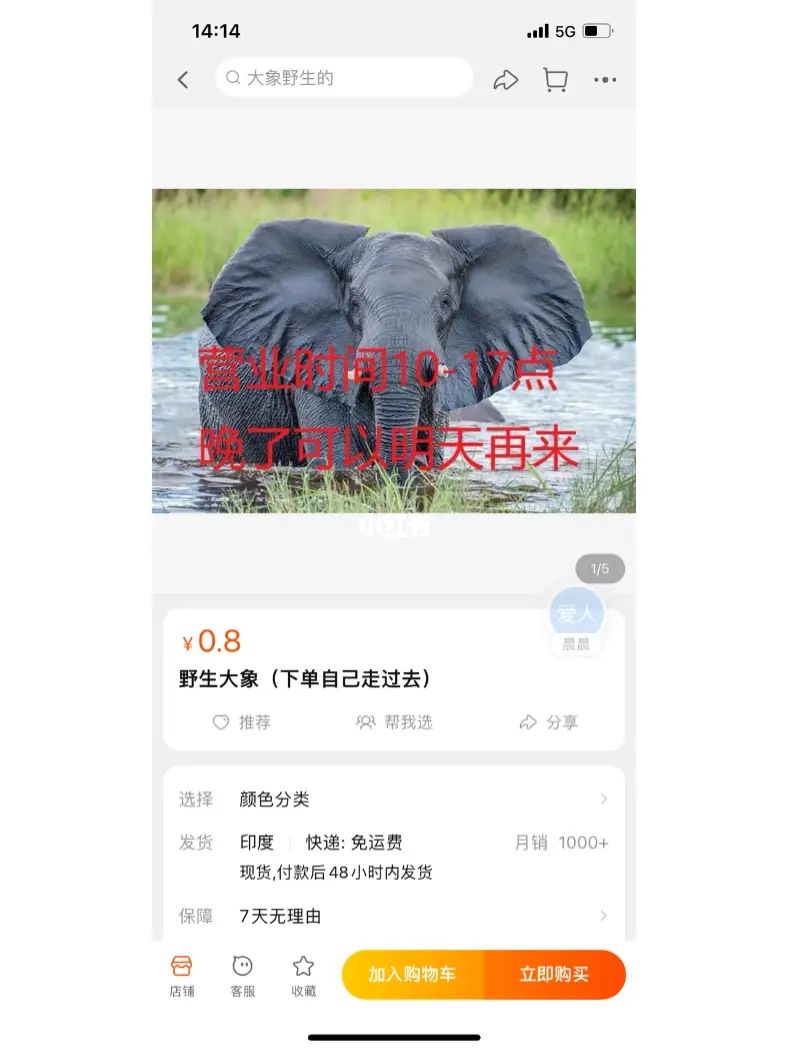 淘宝品牌排行榜_nba总得分榜排行新_dnf大转移职业排行刷图榜