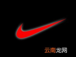 国际运动品牌排行榜-【蒙古记忆】耐克——文章插图阿迪达斯(组图)