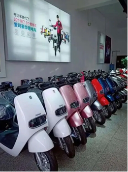 十大电动车品牌排行榜_电动伸缩门品牌排行_电动折叠自行车品牌排行