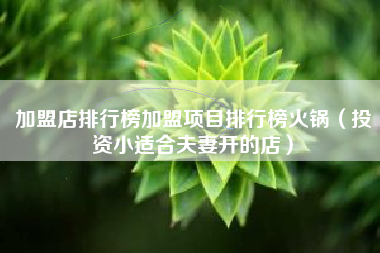 加盟店排行榜加盟项目排行榜火锅（投资小适合夫妻开的店）