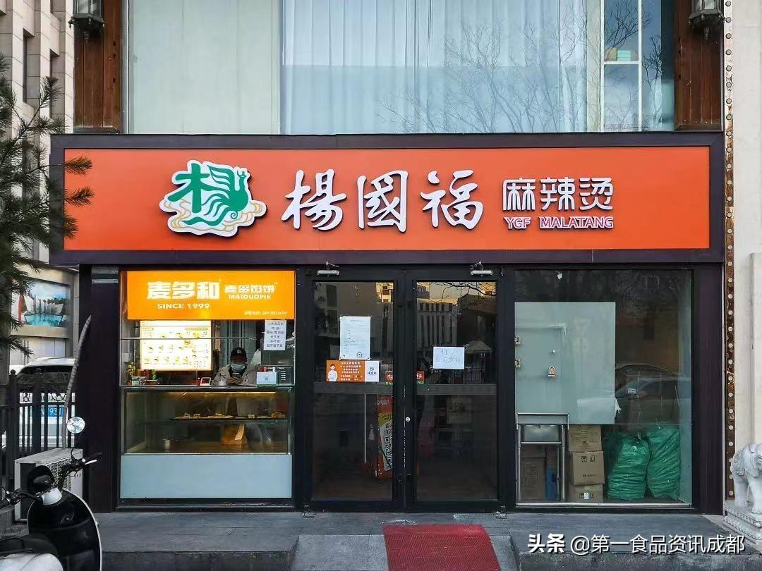麻辣烫品牌排行榜_听诊器品牌排行排行_泳装品牌排行 泳装品牌排行