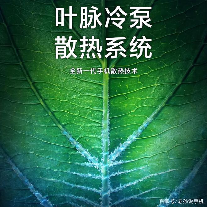 国产鞋品牌排行榜_国产气动元件品牌榜_国产鞋品牌名字大全