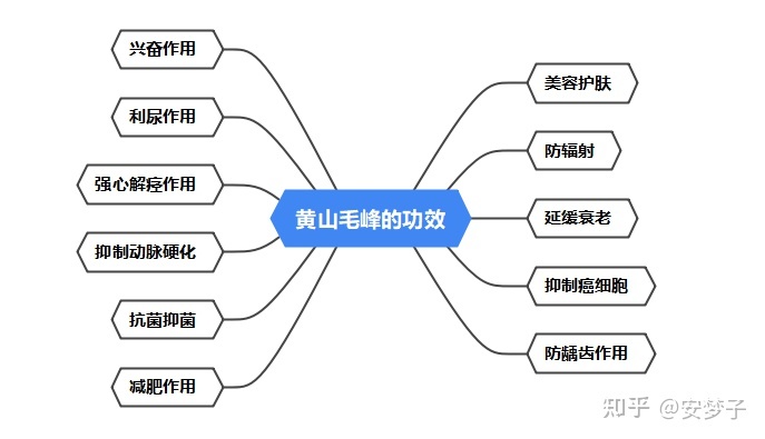 新的十大绿茶排行_绿茶销量排行_绿茶品牌排行榜