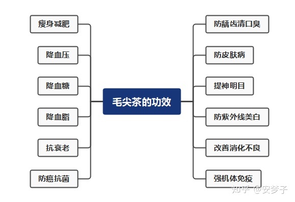 绿茶销量排行_新的十大绿茶排行_绿茶品牌排行榜