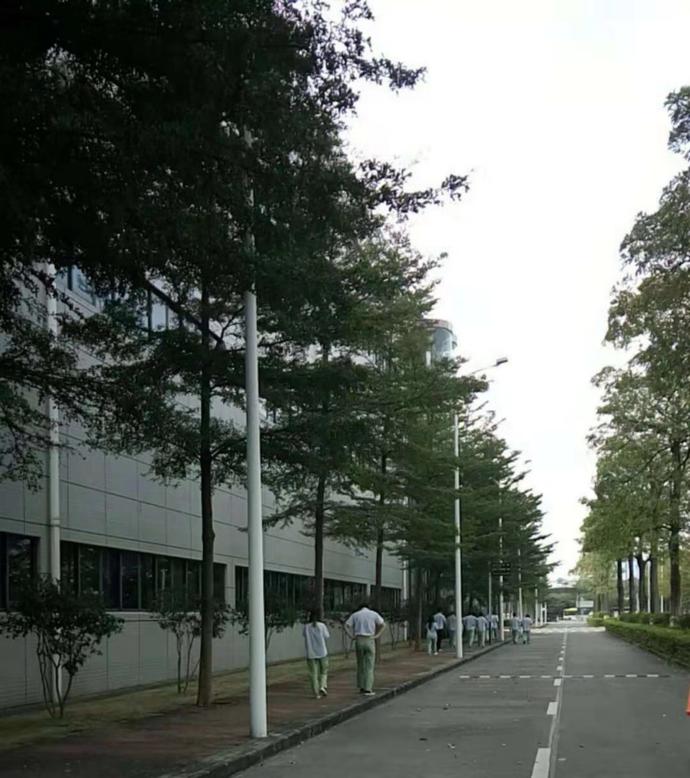 手机壳品牌排行榜_国产手机10大品牌排行_手机钢化玻璃膜品牌排行