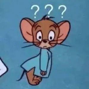 有导航还需要电子狗吗