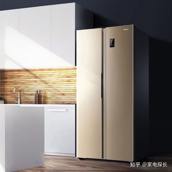 日本冰箱品牌排行_世界冰箱品牌排行榜_冰箱品牌排行