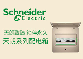 电气配电品牌大全_配电箱品牌排行榜_2013胡润品牌榜民营企业榜