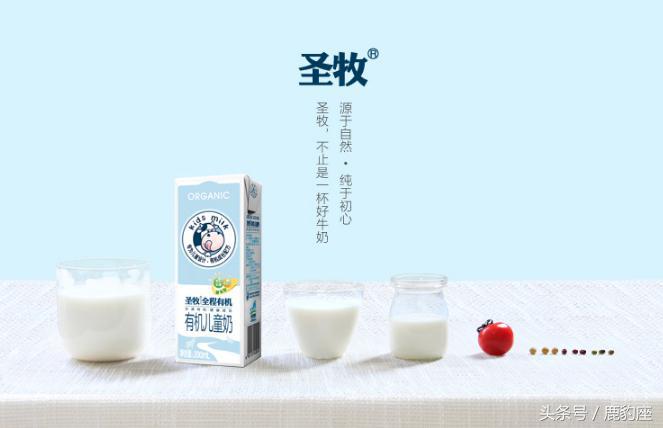 纯牛奶品牌排行榜_纯电动汽车品牌排行_琅琊榜排行高手榜飞流