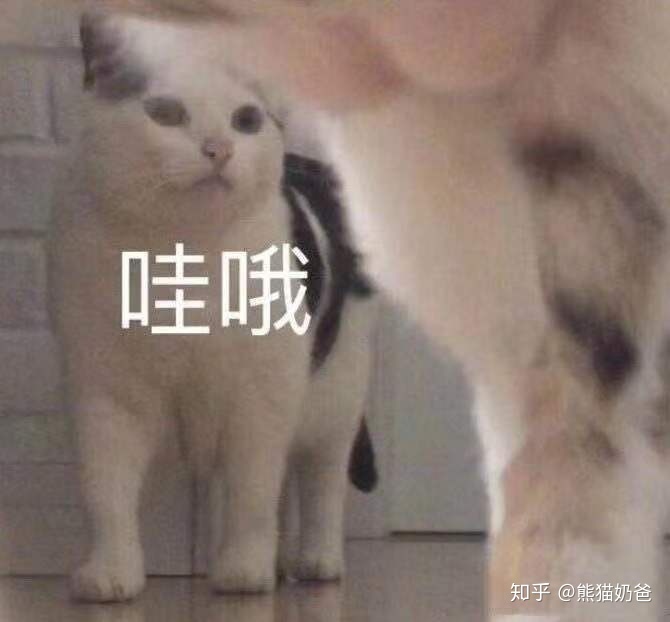 男士钱包品牌排行榜_男士钱包品牌排行照片价格_男士钱包品牌排行2016