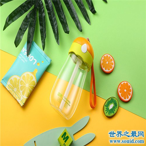 塑料杯十大品牌排行榜，塑料杯哪个牌子好？(www.souid.com)