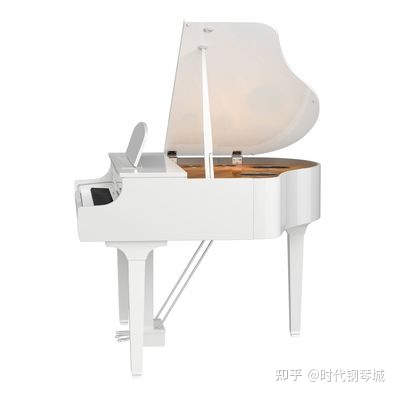 电钢琴品牌排行榜_厨电品牌排行_钢琴排行世界十大钢琴品牌