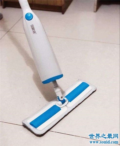 拖把十大品牌排行榜，拖把哪个品牌好？(www.souid.com)