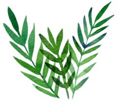 消毒锅品牌排行_不粘锅品牌排行榜_国内珐琅锅品牌排行