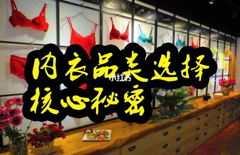 内衣加盟品牌排行榜_顶瓜瓜品牌内衣排行_广东内衣加盟品牌