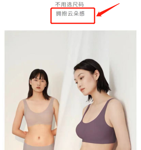 茜茜公主内衣官网品牌内衣加盟_内衣品牌代理招商平台品牌内衣加盟_内衣品牌排行榜