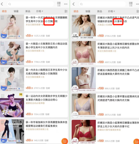 茜茜公主内衣官网品牌内衣加盟_内衣品牌代理招商平台品牌内衣加盟_内衣品牌排行榜