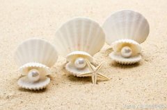 软体化妆品排行榜(软体品牌有哪些)