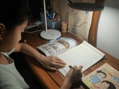 高颜值化妆灯品牌排行榜(性价比灯饰品牌排行前十名)