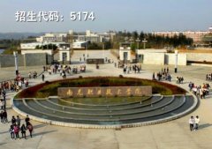 南充学美容的正规学校(南充哪里可以学美容)