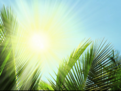 防辐射化妆品排行榜(品牌防辐射排行榜)