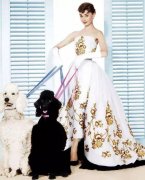 化妆部件排行榜(化妆部件排行榜前十名)