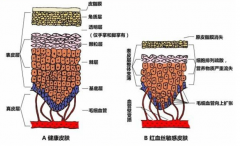 世界孕妇化妆品排行榜(孕妇化妆品)