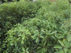 上虞化妆技术学校排行榜(江苏化妆学校排名排行榜)