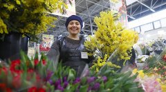 三八礼物女生化妆品排行榜(三八妇女节化妆品便宜吗)