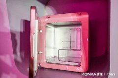 知名化妆品冰箱品牌排行榜(知名化妆品冰箱品牌排行榜前十名)