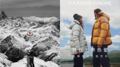 鹅化妆品品牌排行榜(鹅化妆品品牌排行榜新)