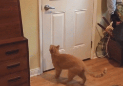 镶钻化妆品价格排行榜(钻戒首饰品牌排行榜)