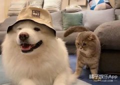 微博化妆博主排行榜前十名(微博美妆博主排行榜)