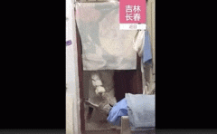 四合一化妆刷排行榜(化妆刷十大排行)