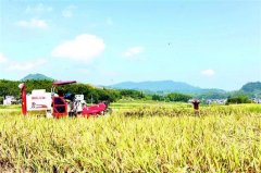 乐峰化妆品排行榜测评(广州乐峰化妆品)