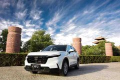 2013国产化妆品排行榜(国产化妆品排名)