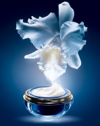 国外特化妆品品牌排行榜(国外化妆品牌排行榜前十名)