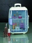 祛痘化妆品冰箱品牌排行榜(化妆品冰箱推荐)