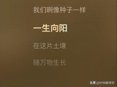 米色蓝色化妆品品牌排行榜(蓝色彩妆品牌)