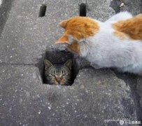 收纳化妆台小型品牌排行榜(化妆收纳盒哪个牌子好)