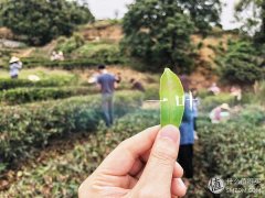 福建修复角质化妆水排行榜(visual studio code怎么创建php)