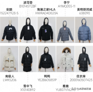 羽绒服时装化妆品牌排行榜(羽绒服时装化妆品牌排行榜前十名)