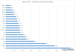 小巧实用的化妆品牌排行榜(便宜的小众好用的化妆品品牌)