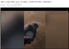 小人手办化妆品牌排行榜(小人手办图片)